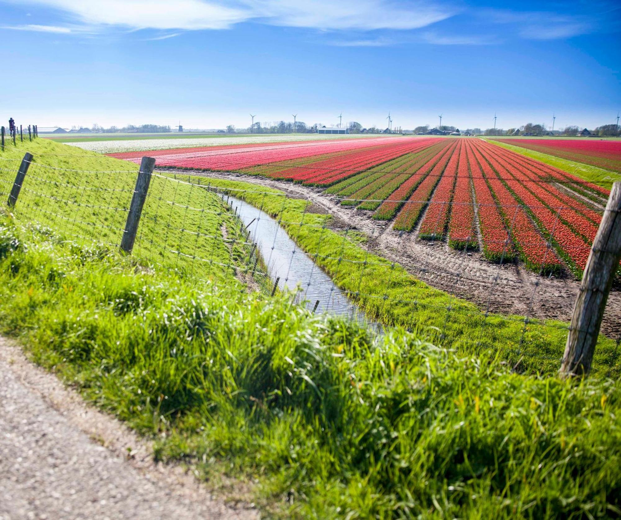 Vakantiehuisje Pluim 4 Personen - Zeezand Recreatie Stolpen Luaran gambar
